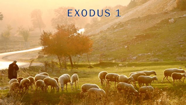 Exodus-1