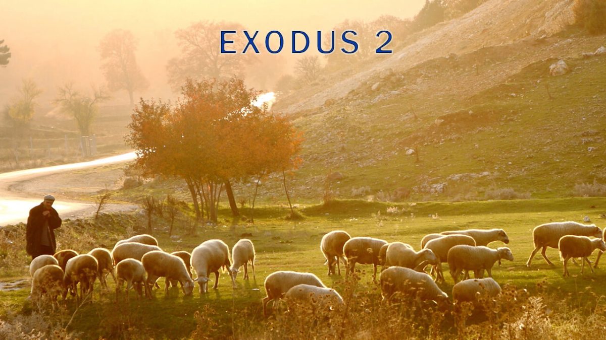 Exodus-2