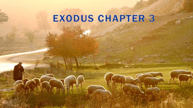 Exodus-3